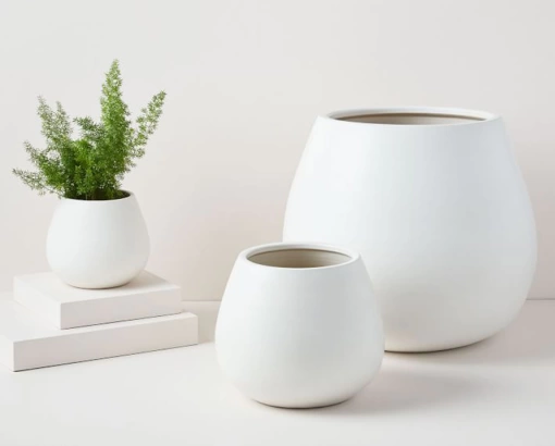 Đặc Điểm Nổi Bật Của Ấm Trà Tốt