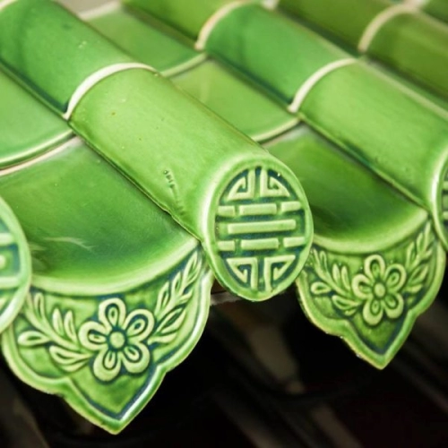 Riềm Hoa Mai Đại